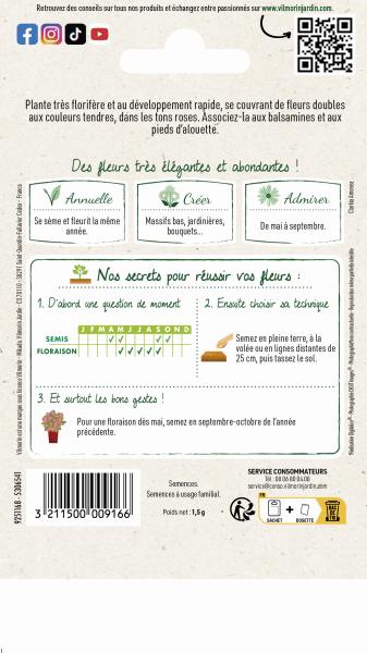 Fleurs - Godétia Fleurs d'Azalée Varié - MEDIA_PACKAGING_VERSO